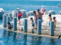 People familiarized pier facility